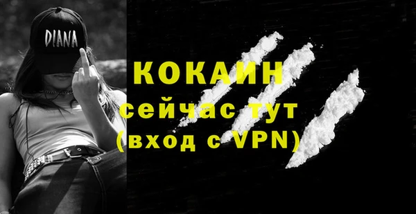 дживик Кинешма