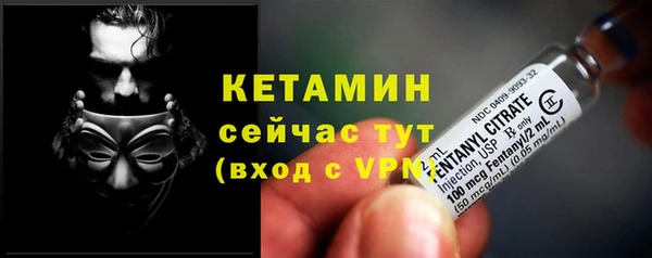 гашик Козельск