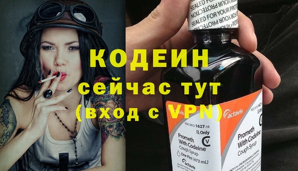 дживик Кинешма
