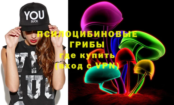 гашик Козельск