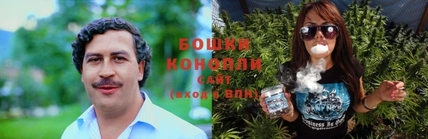 гашик Козельск