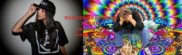прущая мука Киреевск