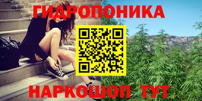 PSILOCYBIN Гатчина