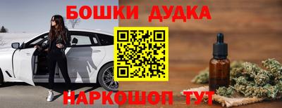 PSILOCYBIN Гатчина