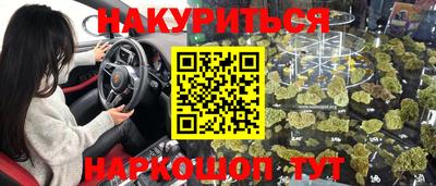 PSILOCYBIN Гатчина