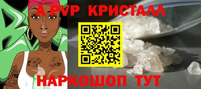 PSILOCYBIN Гатчина
