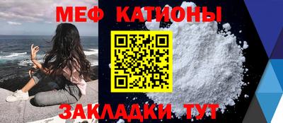 PSILOCYBIN Гатчина